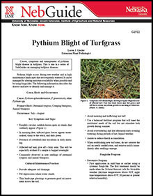 Pythium Blight of Turfgrass