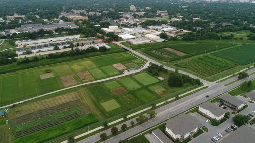 Picture of research plots at East Campus