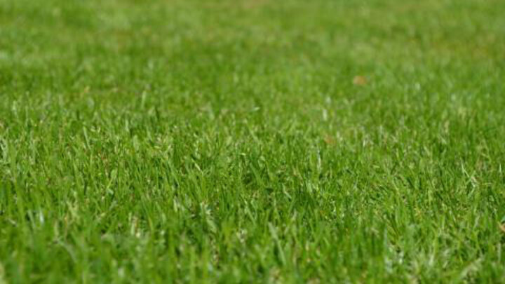 Cool Season Lawn Calendar for Western Nebraska
