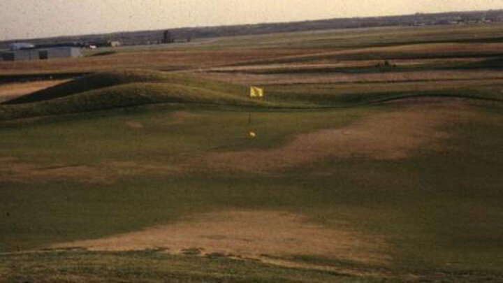 Winter Traffic and Play on Turfgrass