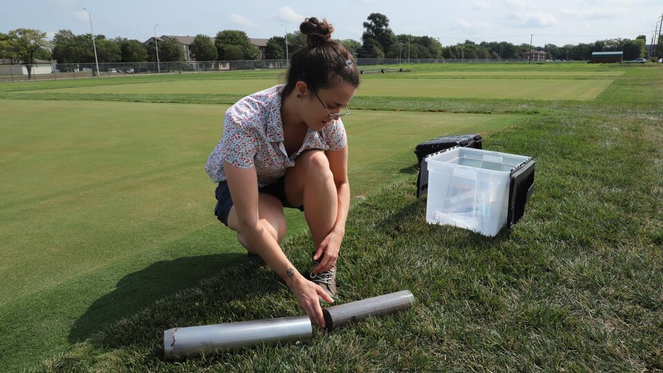 Turf research