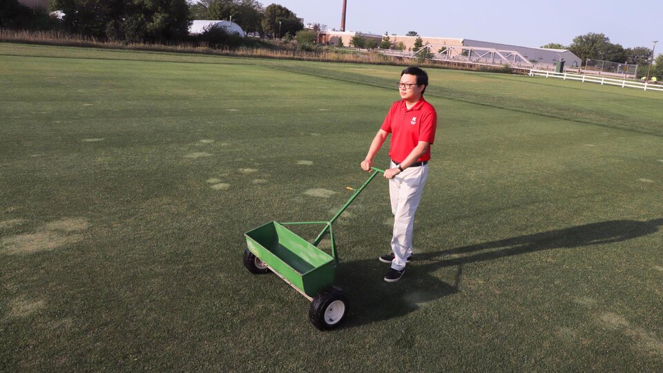 Turfgrass Science and Management Option