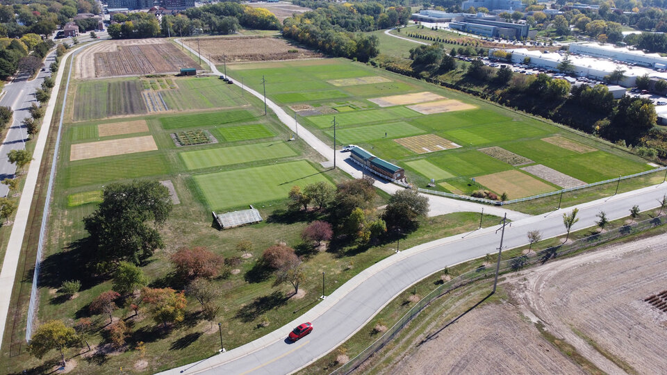 turfgrass research plots on UNL East Campus