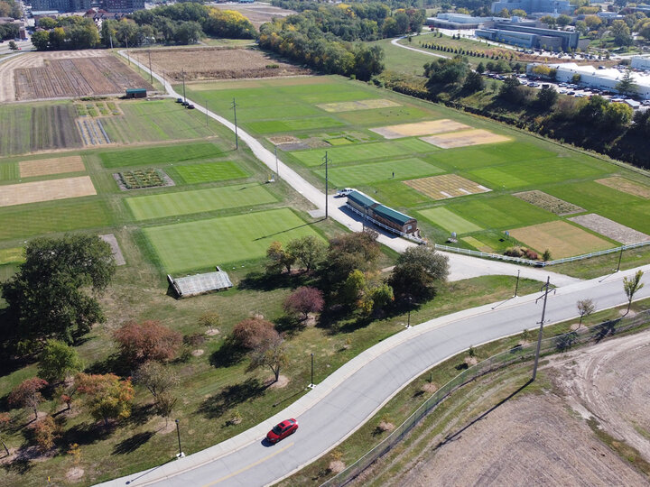 turfgrass research plots on UNL East Campus