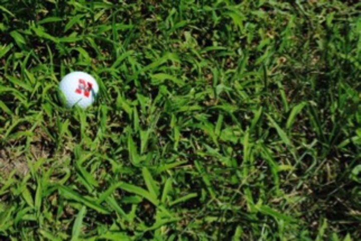 Grown crabgrass with Nebraska logo golf ball. 