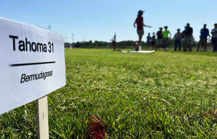 Tahoma 31 Bermudagrass signage at research plots during 2025 Nebraska Turfgrass Field Day with Amanda Folck speaking.