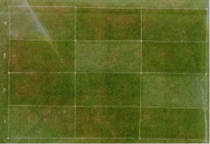 Wetting agents study plots. 